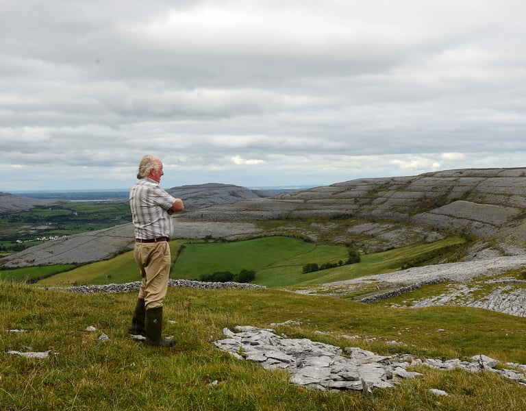 agri15bbburren4075